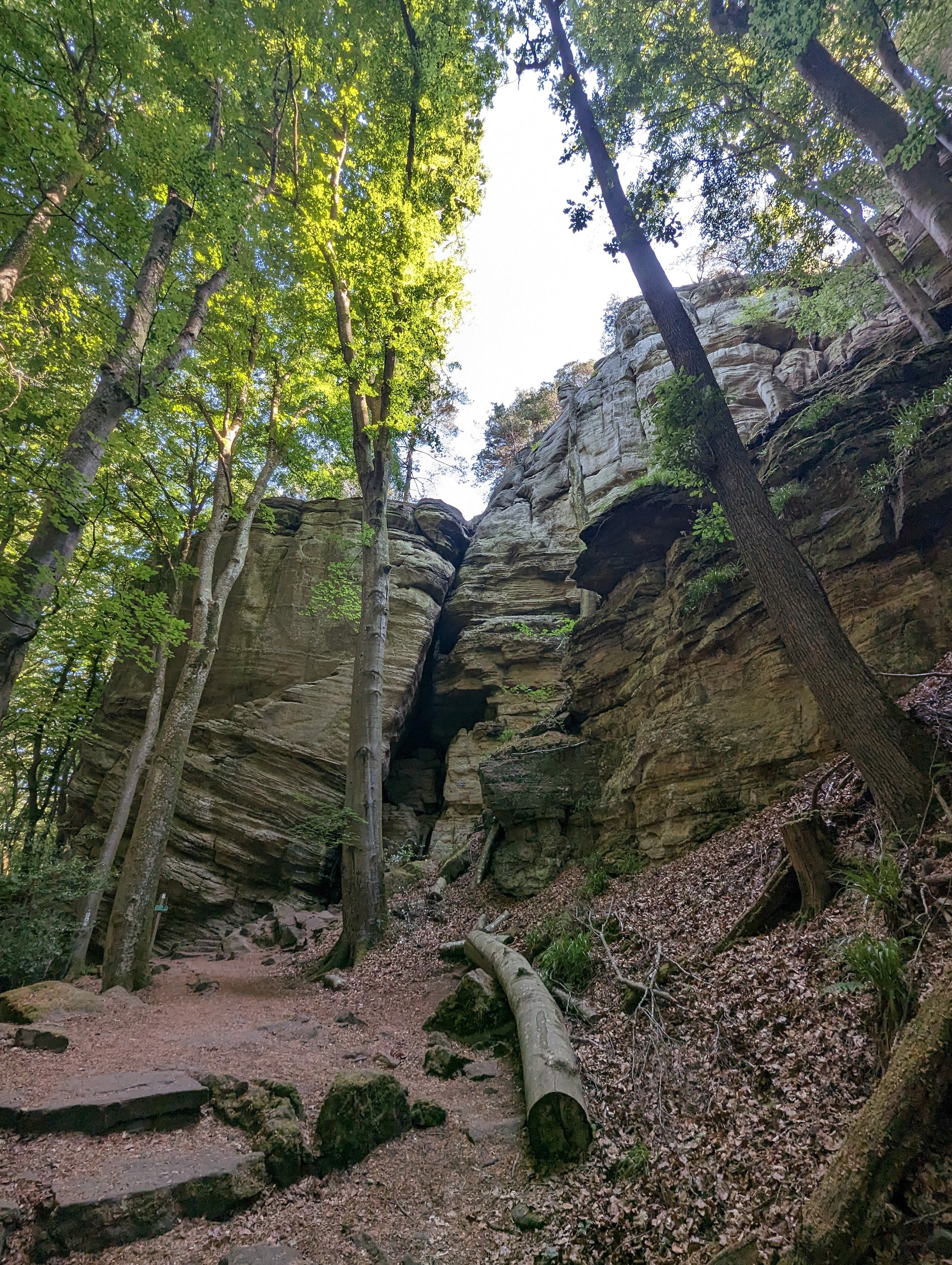 Mullerthal Trail
